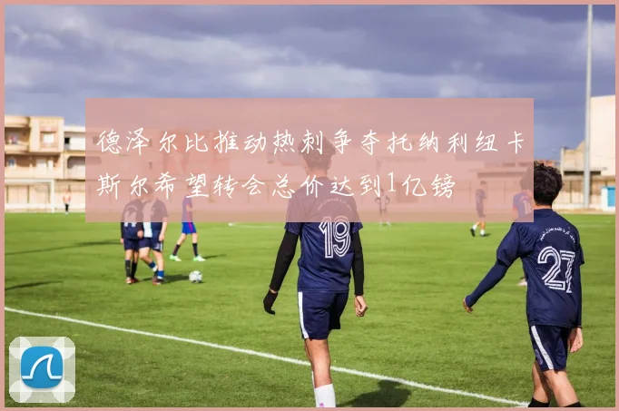 德泽尔比推动热刺争夺托纳利纽卡斯尔希望转会总价达到1亿镑